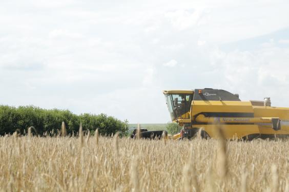 Аграрії області зібрали зернові та зернобобові культури з 73% площ посівів
