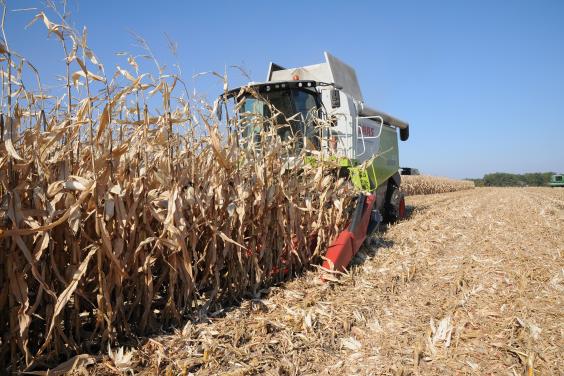 Аграрії Харківщини зібрали понад 4,8 млн тонн зерна