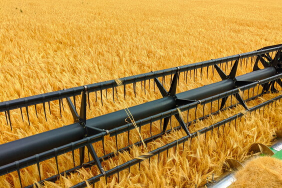 Господарства Харківщини зібрали понад 800 тисяч тонн зерна нового врожаю
