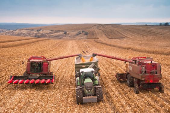 Аграрії Харківщини зібрали 1,2 мільйона тонн урожаю та сіють озимі