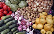 Туреччина зацікавлена в поставках з Харківської області зернових культур, насіння, овочів і фруктів